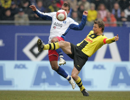 仅展示了世 仅展示了世